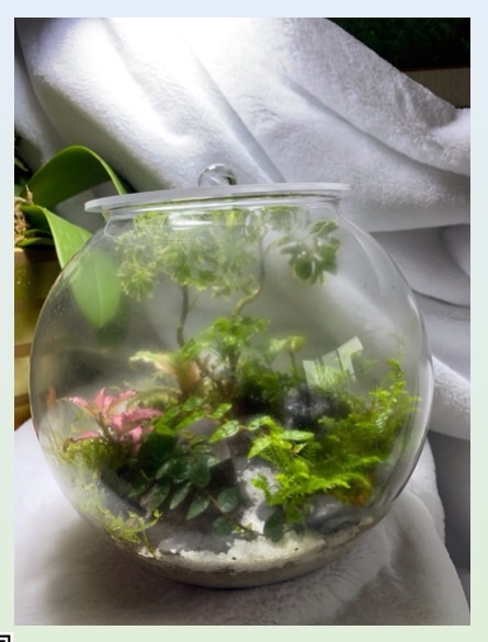 一木一石花藝